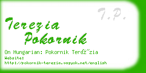 terezia pokornik business card